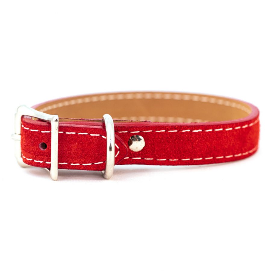 Saratoga Suede Collar in Many Colors