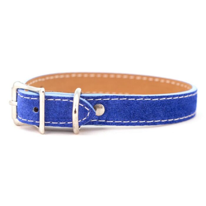 Saratoga Suede Collar in Many Colors